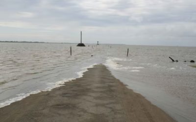Passage du Gois : सिर्फ 2 घंटे ही नजर आती है फ्रांस की ये सड़क…