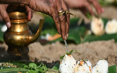 ज्येष्ठ अमावस्या 2025: बस करें ये पवित्र कार्य, पितरों की कृपा से खुलेंगे भाग्य के द्वार