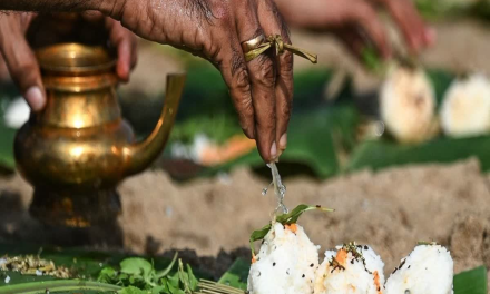 ज्येष्ठ अमावस्या 2025: बस करें ये पवित्र कार्य, पितरों की कृपा से खुलेंगे भाग्य के द्वार