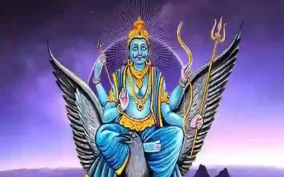 शनि जयंती 2025: इन 4 फूलों से बदल सकती है किस्मत, साढ़ेसाती और पनौती से मिलेगा छुटकारा!